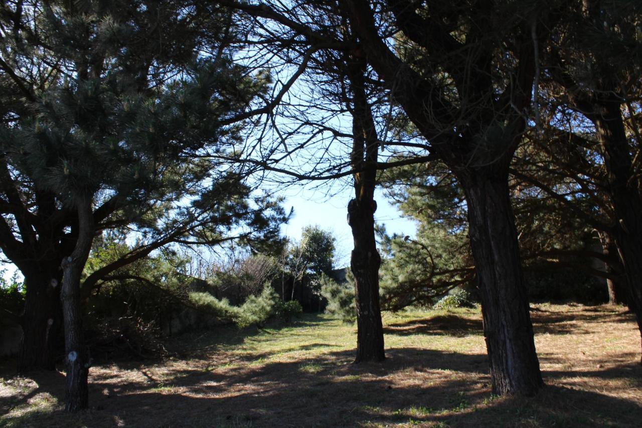 Finca Dos Mares 페레올 외부 사진